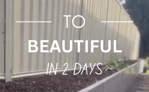 Sarah Johnson Testimonial