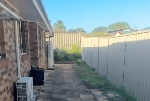 Emily Davis Testimonial