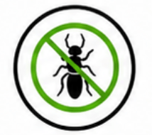 Termite & Rot